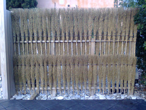 FENCE-CLEANING UP