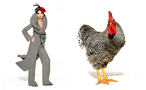 galline-models3.jpg